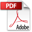 PDF file